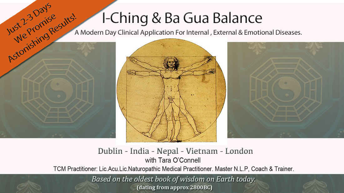 I Ching Acupuncture Balance Method course